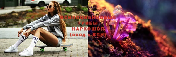 первитин Алексеевка